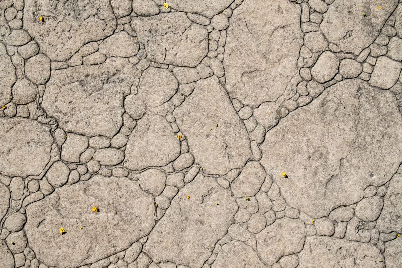 Decorative Concrete Repair in Longmont, CO